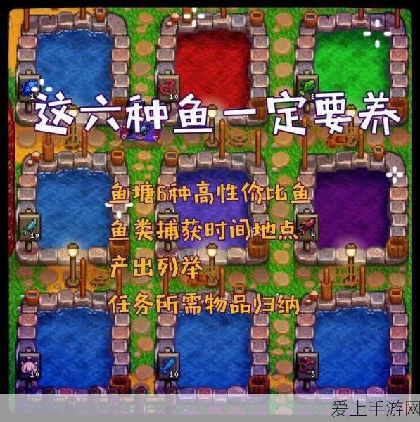 帝国时代4 Steam平台震撼定价，手游玩家必知的跨平台战略新篇