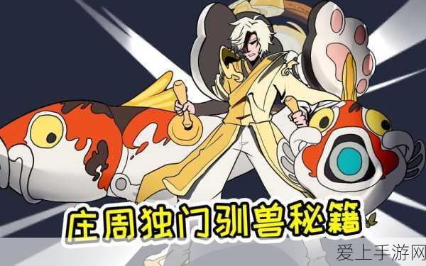 奥拉星手游，一键解锁！如何精准辨别你的账号是渠道服还是官服