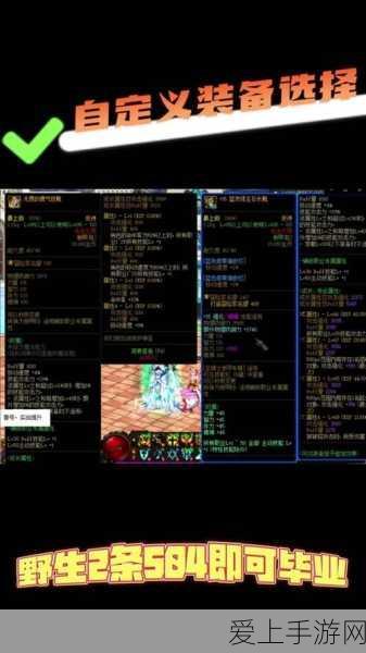 火影手游攻略，揭秘高效刷保护符的饰品选择策略