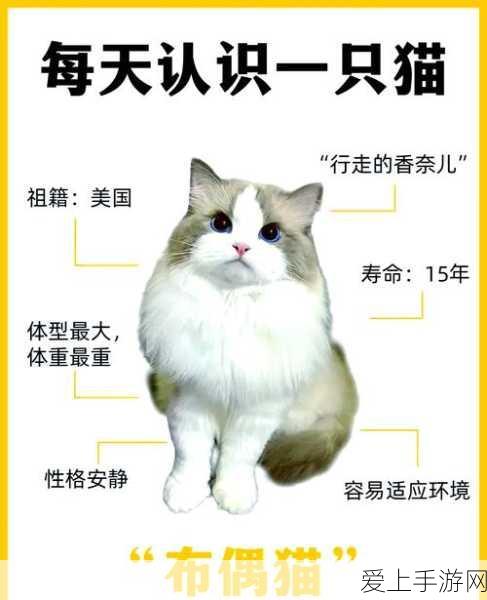 DNF玩家必看，高效攻略，助你轻松降低COF值！