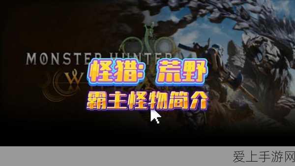 手游创新技术揭秘，COC/COP微流控芯片如何重塑游戏体验？