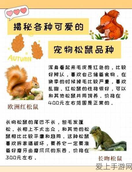 银河娱乐集团2024 Q1财报揭秘，手游业务强劲增长，新游上线引爆市场