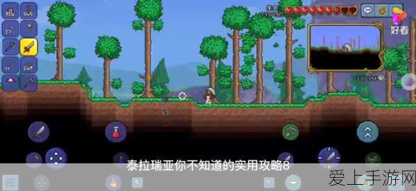 魔兽世界国服回归开服时间大揭秘