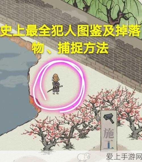 手游小森生活美食攻略，解锁蛋包饭食谱，打造你的料理传奇