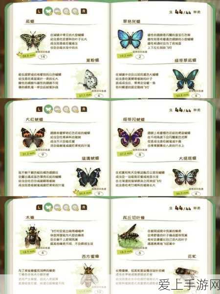 炉石传说深度攻略，威兹班工坊卡牌全解析，策略与玩法大揭秘