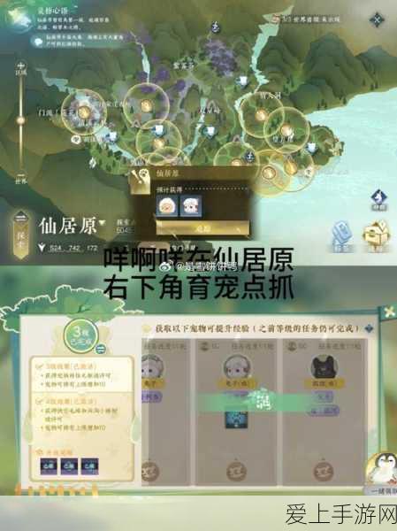 阴阳师妖怪屋深度剖析，孟婆强度全解析及新手实战技能指南