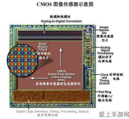 嫦娥源·梦系列新皮肤拒霜思，王者荣耀玩家热议的绝美之作