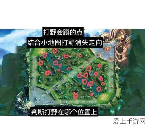 战双帕弥什，顶尖角色培养指南，解锁战斗新境界