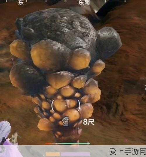 桃源深处有人家，黄梅芒种活动全解析，解锁田园牧歌新玩法