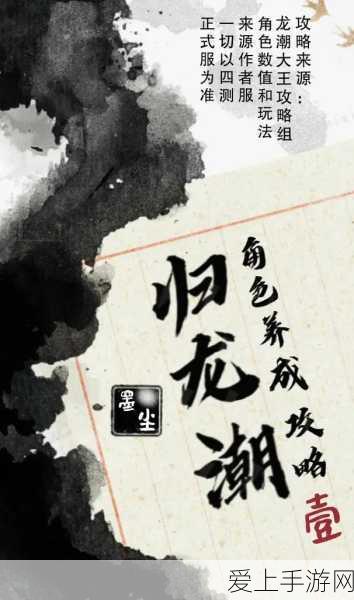 DNF女职业风采大赛，探寻颜值与实力并存的最美战士