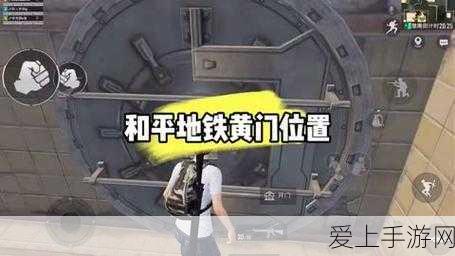 2024 年珍稀坐骑兑换码大揭秘