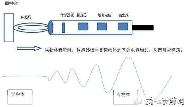 手游新探秘，动物森友会鱼类资源大揭秘，多样玩法与赛事精彩纷呈