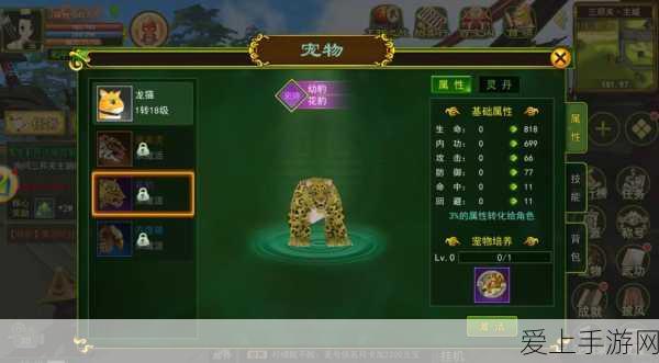 阴阳师傀儡师新装闲影春衫，解锁攻略与绝美细节大揭秘