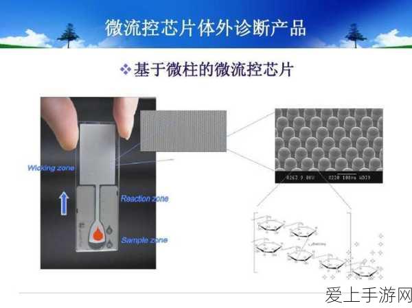 暗黑2重制版深度解析，亚马逊角色加点攻略大揭秘