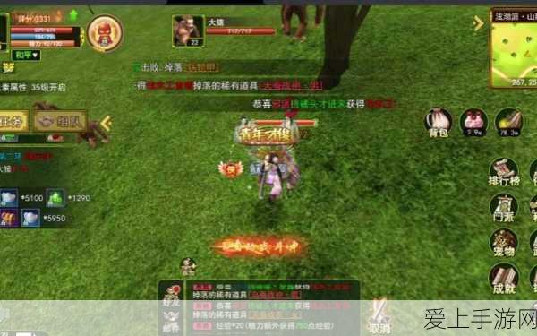 纯白和弦，登顶巅峰的最强阵容秘籍