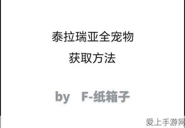 星球探险家，新手必看！初期高效探险与生存技巧揭秘