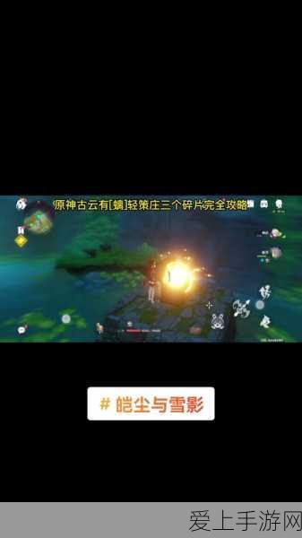 辐射避难所跨平台对比，PC版与手机版深度剖析