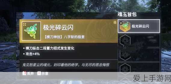 重返未来1999，行动主义藏锋蓄锐全攻略，解锁隐藏任务与高效战斗技巧