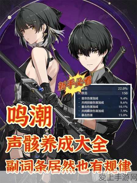 绝区零冰系角色战力全解析，深度培养与强度对比