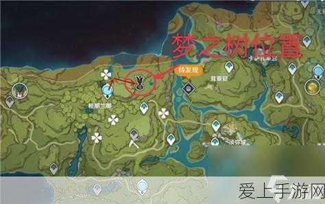 玩转江南百景图越州商行，货架摆放秘籍大公开