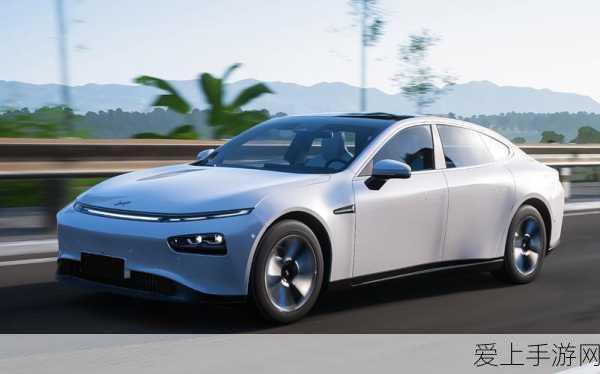 恶魔秘境竞技场革新战术，木系二天流登顶秘籍全解析