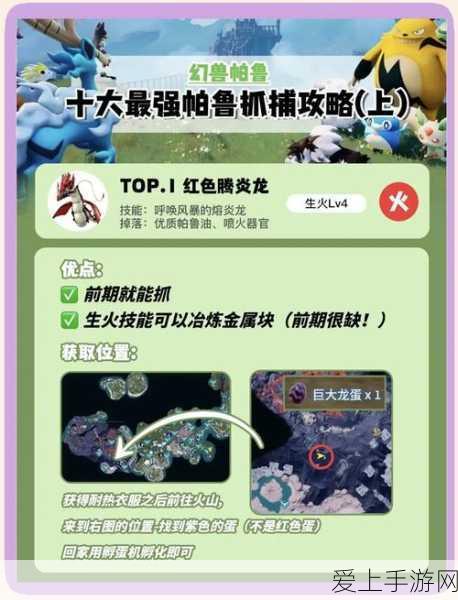第五人格橄榄球使用全攻略，前锋的制胜法宝