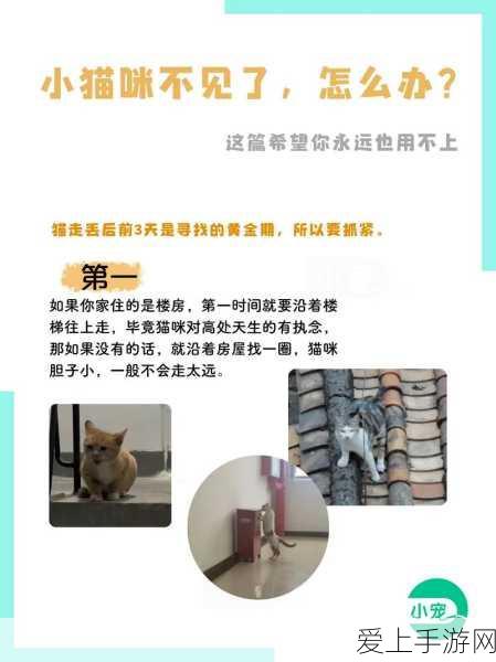 GTA新作震撼来袭，揭秘最新版本细节与期待