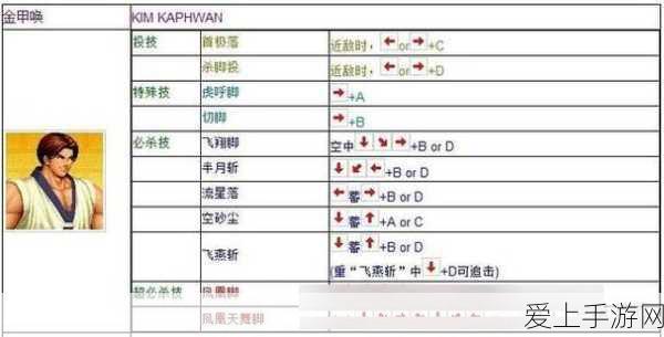 黑色沙漠手游，北部大农场主人宝藏深度揭秘与全攻略