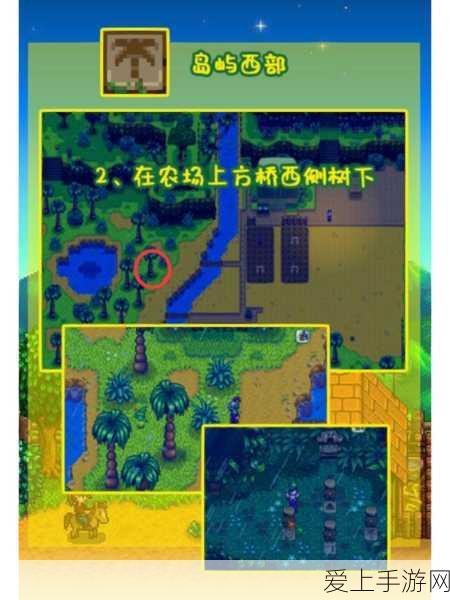 黑色沙漠手游，北部大农场主人宝藏深度揭秘与全攻略