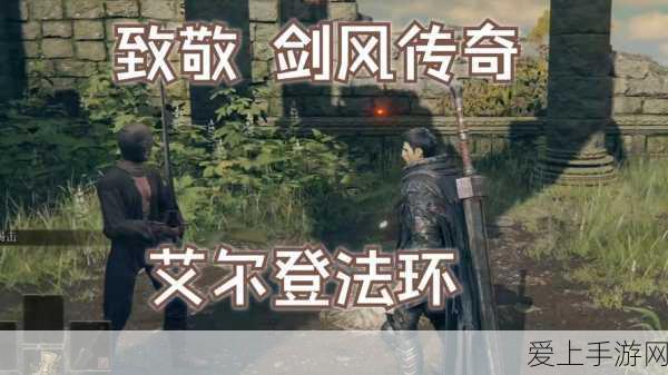 归龙潮深度探索，纸伞书籍全收集攻略与隐藏位置揭秘