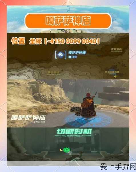绝地求生泰戈地图鸟群生态揭秘，深入探索自然奥秘与竞技策略
