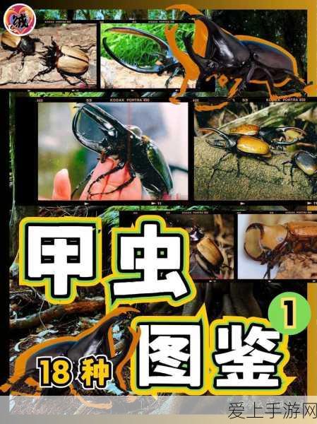 地铁跑酷2024，影子滑板永久兑换码全攻略及赛事亮点揭秘