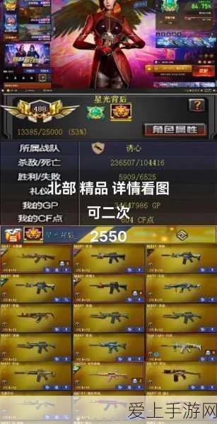 绚辉龙狩猎攻略，怪物猎人世界中的闪耀挑战