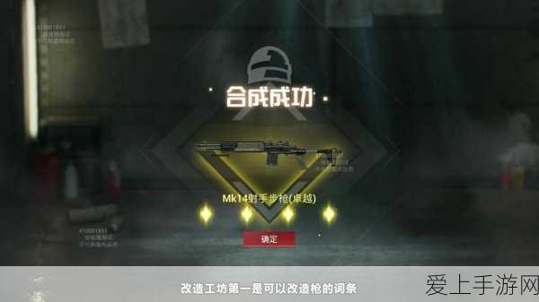 王者荣耀顶尖战术揭秘，海诺朵莉亚组合技实战精髓与高端技巧解析
