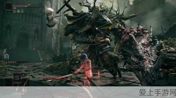 深入探索，无主之地 2 的独特魅力与 ENB 体验