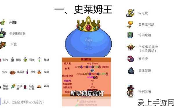 光明冒险商店深度解析，高性价比道具助你征服冒险之旅