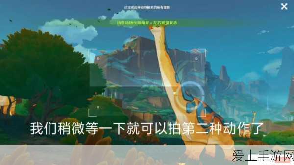 大航海时代 4 赫德拉姆通关秘籍，详细攻略指南