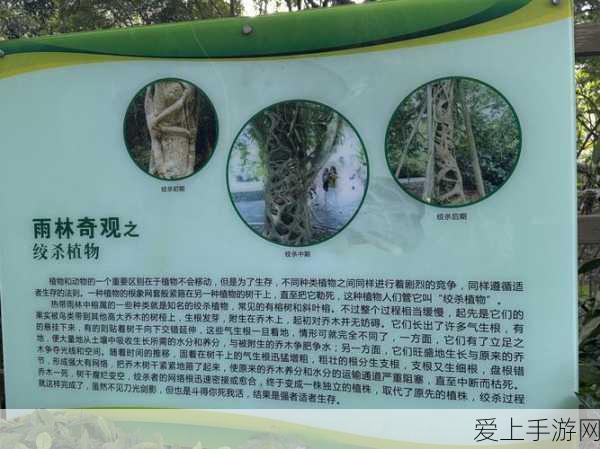 暗黑破坏神不朽，揭秘库勒藏书馆地图探索任务全攻略