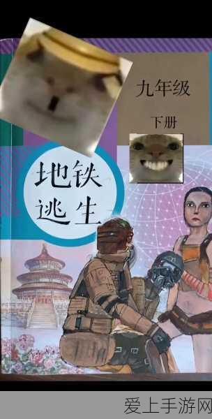 星际战甲深度解析，国际服VS国服，差异何在？