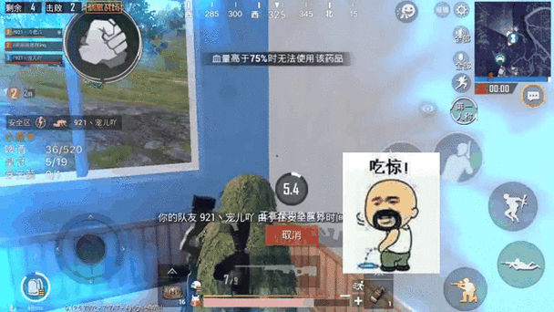 射雕手游深度攻略，折梅寄情，解锁乡愁漫漫成就秘籍