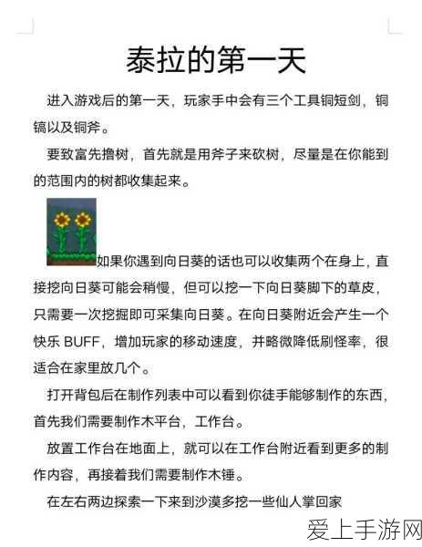 山大携手手游界，共创电竞新辉煌，山东大学与知名手游赛事深度合作揭秘
