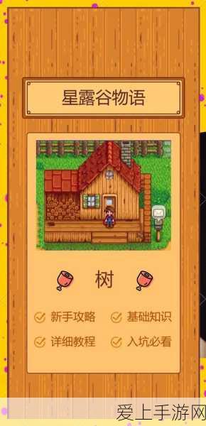 阴阳师中夏目猫老师的超强技能全解析