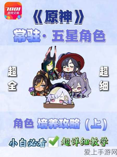 地下城与勇士，圣职者转职热门职业强度深度剖析及PK赛表现