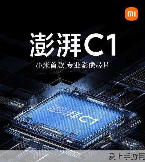 万国觉醒，查理马特副将搭配攻略，打造无敌统帅阵容！