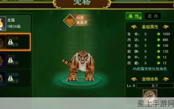 光遇夜行记深度攻略，揭秘第四个任务的完美通关秘籍