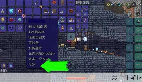 暗黑 2 单机版，职业巅峰对决，谁是最强王者？