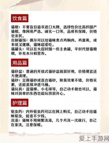 揭秘第五人格高手逃生秘籍，精准操作与策略布局并重