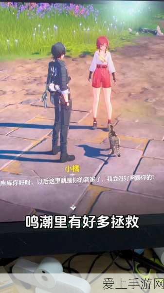 探秘和平精英绿洲世界，冒险站台全攻略及精彩赛事揭秘