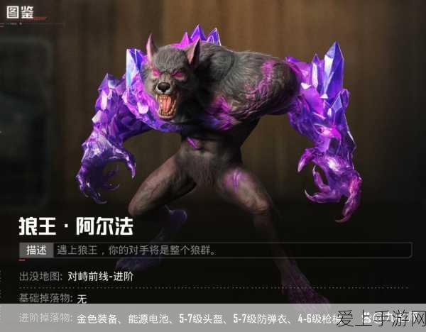 精灵宝可梦背后的隐秘世界，揭秘那些鲜为人知的黑暗角落