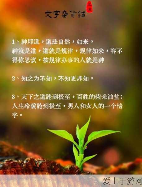 星之破晓上官婉儿无敌配队秘籍大公开